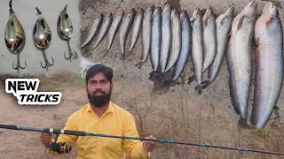 Padhin Machli Ka Shikar  Back To Back incredible Wallago Attu Big Patan Fish Fishes in Spoon Tricks [upl. by Orgalim]