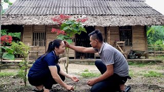 full video 210 days building a new life together harvesting  cooking  Ly Tieu An [upl. by Concettina]