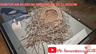 ADVENTURE THROUGH HUNTERIAN MUSEUM GLASGOW [upl. by Liakim817]