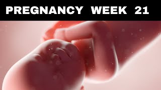 Pregnancy Week 21 Your Body and Babys Changes Explained [upl. by Nagiam]