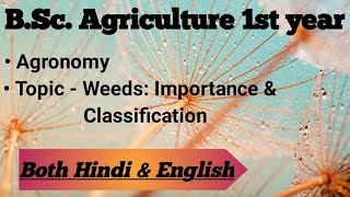 Weeds Importance amp classification  Agronomy  BSc Agri 1st year  Explained in Both amp English [upl. by Ardnik516]