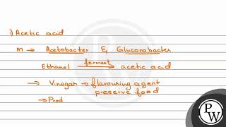 Match ListI with ListII ListI ampnbsp ListII ampnbsp A Aspergillus niger i Acetic Ac [upl. by Frere]