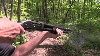 Winchester 1897 12 Gauge Woods Walk [upl. by Sigismundo76]