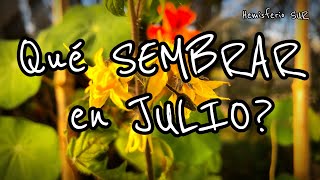 Qué sembrar en JULIO ❄🌱Calendario de Siembra 2024 Mujer Bonita 128 [upl. by Einej]