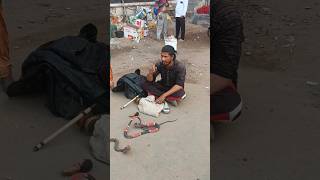 part 4 Madari ka khel shortvideos comedymagician [upl. by Reichel493]