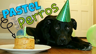 PASTEL PARA PERROS  Cumpleaños Max  SUSANA ORTIZ [upl. by Quartus]