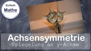 Achsensymmetrie zur yAchse  einfach erklärt by einfach mathe [upl. by Aerdnaid]