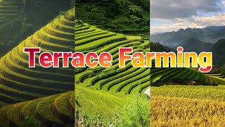 Farming Methods of Agriculture  What is Terrace Farming [upl. by Mini]