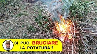 BRUCIARE LA POTATURA [upl. by Cahra]