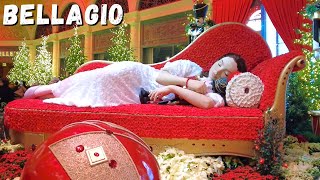 Bellagio Conservatory Las Vegas  Winter 2023 Wonderland 4K [upl. by Lettie903]