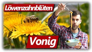 Löwenzahnblüten Vonig machen kein Honig  Sirup Anleitung Schritt für Schritt und Verkostung [upl. by Suneya]