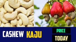 Kaju Price Today Cashew Nuts [upl. by Novat907]