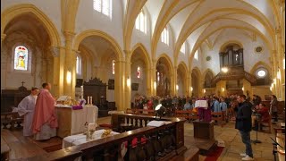 Messe de lAssomption  Jeudi 15 Août 2024 en direct de léglise Notre Dame La Fleurie  Figeac [upl. by Cohette4]