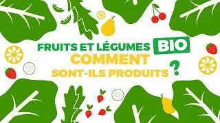 Fruits et légumes bio  comment sontils produits [upl. by Frangos]