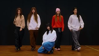 NewJeans  OMG Dance Practice Mirrored 4K [upl. by Riffle694]