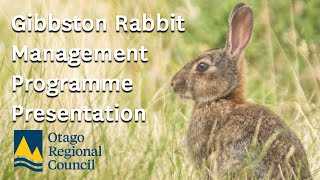 Gibbston Rabbit Problem Meeting  what we learnt and next steps [upl. by Nireves952]