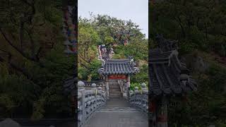 Haedong Yonggungsa Temple Busan South Korea [upl. by Akemyt]