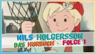 Nils Holgersson ★ Hörbuch deutsch für Kinder ★ Folge 1 [upl. by Heron549]