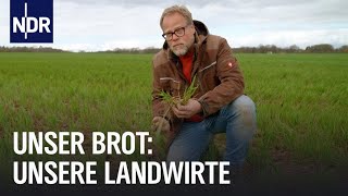 Naturschutz oder maximaler Ertrag So bauen Landwirte Getreide an  Unser Brot  NDR Doku [upl. by Ardiedal]