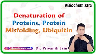 Denaturation Of Proteins Protein Misfolding Ubiquitin  Medical Biochemistry [upl. by Naletak490]