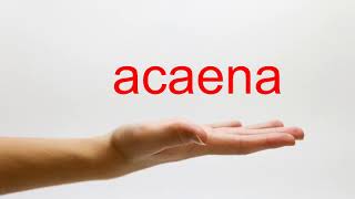 How to Pronounce acaena  American English [upl. by Uda]