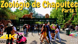 Increíbles animales en el Zoológico de Chapultepec CDMX  Walking Tour 4K Parte 1 cdmx mexico [upl. by Ymiaj]