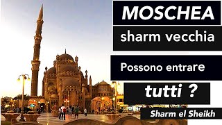 🕌 SHARM MOSCHEA di SAHABA Sharm Vecchia [upl. by Nosydam]