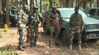 Senegal offensive Army captures rebel bases in Casamance region [upl. by Aynotel]