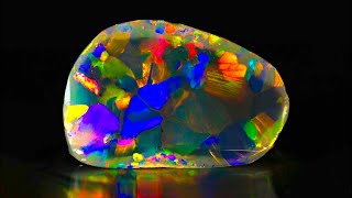 Cutting a top gem 8000 per carat black opal LIVE [upl. by Ainorev863]