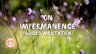 Guided Meditation on Impermanence  Brother Bao Tich [upl. by Ylnevaeh575]