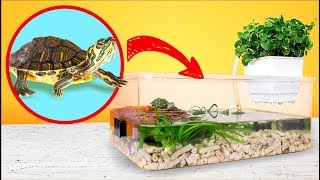 Montage dun TERRARIUM simple et bon marché pour Tortues de Floride [upl. by Acnaiv839]