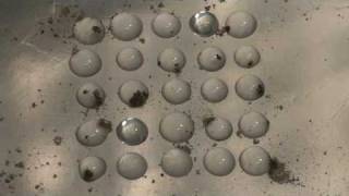 Heterogeneous nucleation of supercooled liquid water drops [upl. by Schwenk]