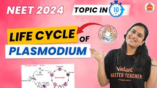 Introduction to Fungi [upl. by Farah]