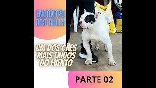 Encontro dos Bulls  Parte 02 [upl. by Gney]