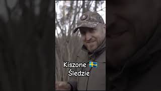 Kiszone Szwedzkie śledzie [upl. by Waldman]