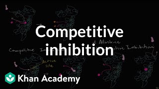 Competitive inhibition  Energy and enzymes  Biology  Khan Academy [upl. by Matthia]