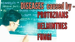 How to learn diseases caused by protozoans  helminths and fungus [upl. by Akirdnahs]