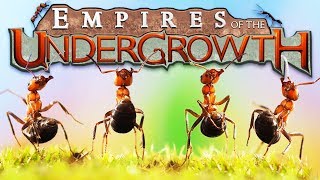 The Ant EMPIRE  Building a Black ANT COLONY  Empires of the Undergrowth Gameplay [upl. by Llenaj]