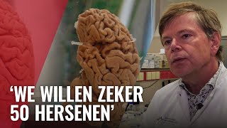 Hersendonoren gezocht voor onderzoek chronische ziekte [upl. by Borroff885]