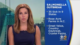 Salmonella Outbreak Sickens 35 [upl. by Ydal420]