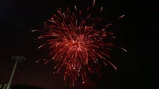 The Dogz Compound Firework From Celtic Fireworks  CCP019 [upl. by Arnuad]