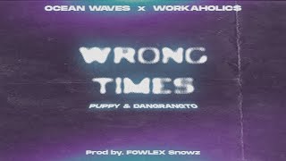 puppy amp Dangrangto  Wrong Times  ft FOWLEX Snowz  OFFICIAL LYRICS VIDEO [upl. by Knipe]