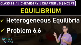 Class 11th Chemistry  Heterogeneous Equilibria  Problem 66  Chapter 6 Equilibrium  NCERT [upl. by Htiekel550]