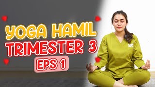 Yoga Hamil Trimester 3 Mengoptimalkan Posisi Janin part2  Ayu Harisyah Putri  Medikacare [upl. by Hearsh]