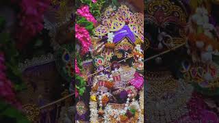 Jay Shree Radhe Krishn â¤ï¸ðŸ§¿  radheradhe radhavallabh radhekrishna harekrishna vrindavan [upl. by Arahsak]