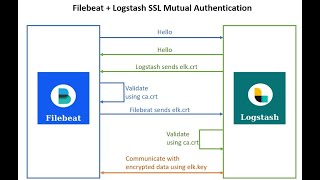 Elasticsearch 8 Security  Filebeat Logstash SSL Mutual Authentication Example [upl. by Catto]