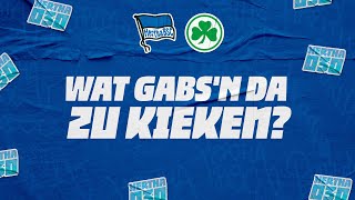 Hertha030 Wat gabsn da zu kieken  FanInterview  Hertha BSC [upl. by Okemak]