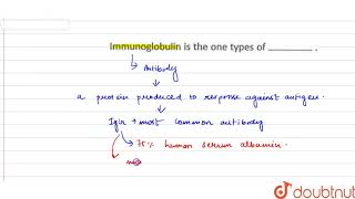 Immunoglobulin is the one types of [upl. by Grae]