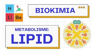 Metabolisme Makromolekul Lipid lipogenesislipolisis  Biokimia 101 [upl. by Arrotal826]