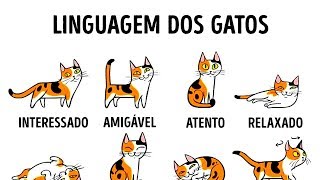 COMO ENTENDER MELHOR O SEU GATO [upl. by Nyvek]